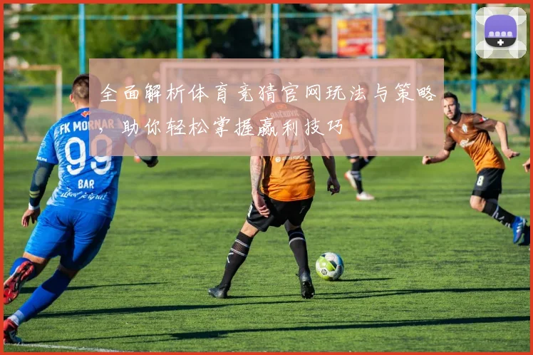 全面解析体育竞猜官网玩法与策略，助你轻松掌握赢利技巧