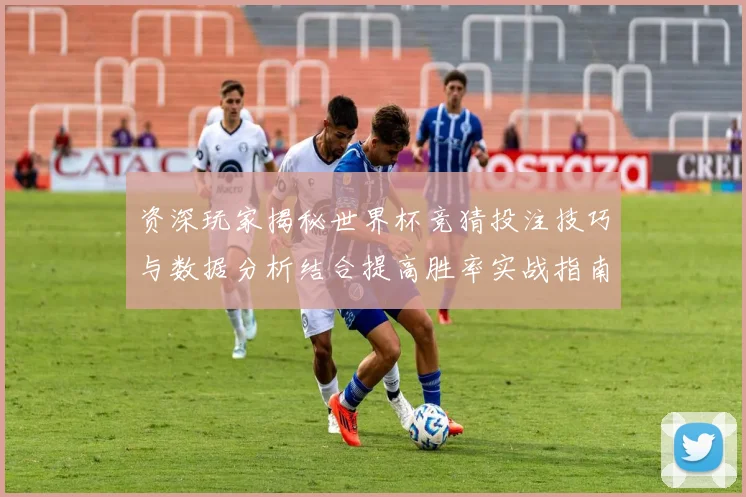 资深玩家揭秘世界杯竞猜投注技巧与数据分析结合提高胜率实战指南