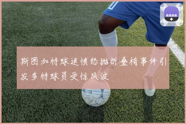 斯图加特球迷愤怒抛折叠椅事件引发多特球员受惊风波