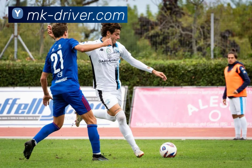 MK体育平台展示图